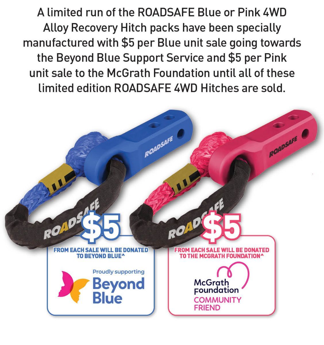 Roadsafe 4wd Recovery Hitch & Shackle RTH001KIT main image 1